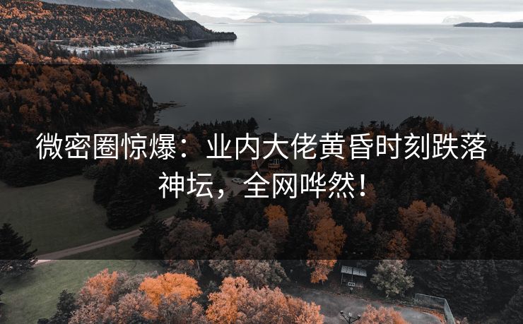 微密圈惊爆：业内大佬黄昏时刻跌落神坛，全网哗然！