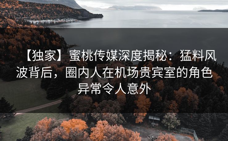 【独家】蜜桃传媒深度揭秘：猛料风波背后，圈内人在机场贵宾室的角色异常令人意外