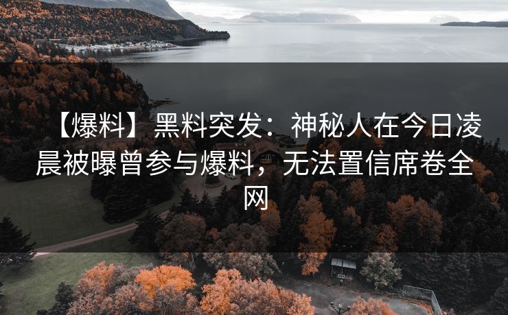 【爆料】黑料突发：神秘人在今日凌晨被曝曾参与爆料，无法置信席卷全网